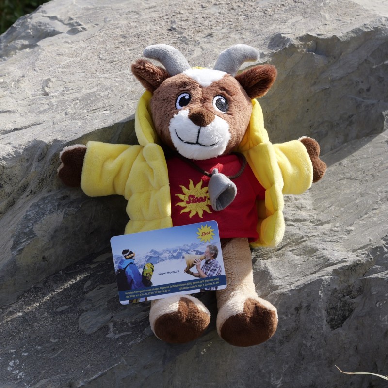Plush Fröneli & Voucher Adult Winter