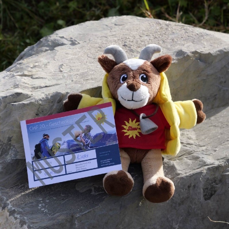 Plush Fröneli & Value Voucher CHF 20.00